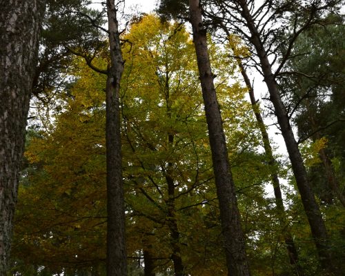 WhatsApp-Image-2024-10-27-at-20.41.22